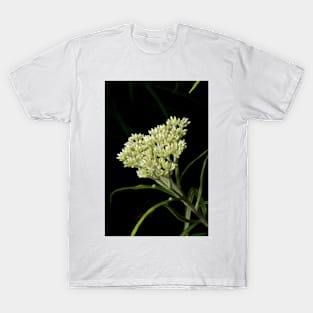 Dogwood Coming T-Shirt